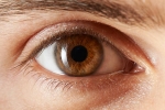 Saúde ocular: cuidar bem dos olhos é preciso!